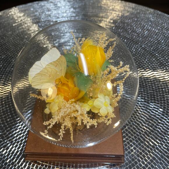 vintage taxidermy butterfly in globe yellow MCM - Picture 12 of 14